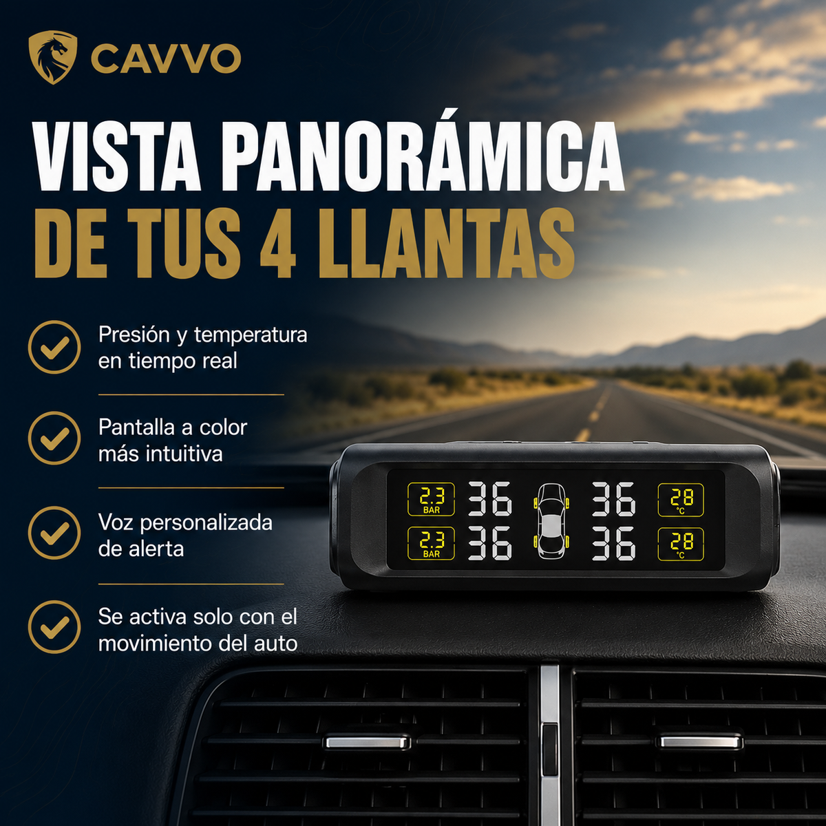 Monitor de Présion Neumáticos - control y seguridad